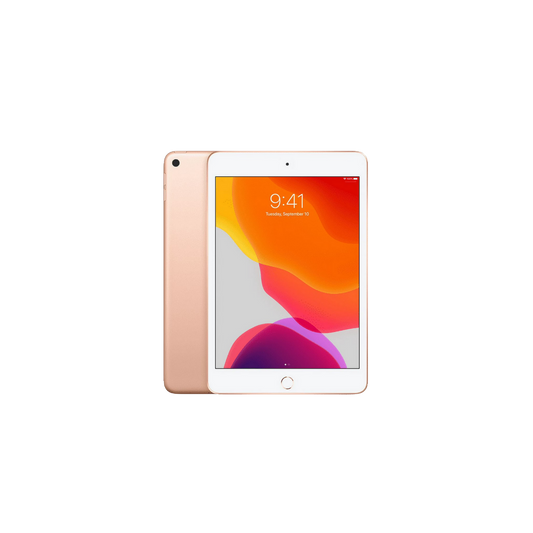 iPad Mini 5 | Vitrina