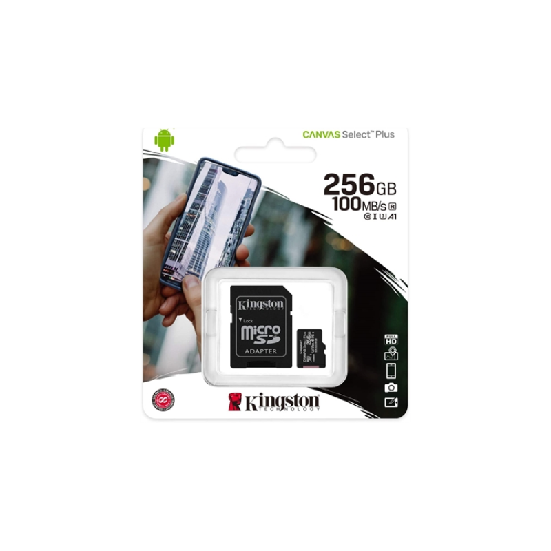 Micro SD 256GB kingston